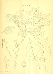 n216_w1150