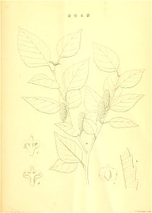 n208_w1150