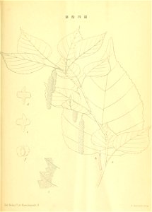 n204_w1150