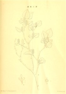 n220_w1150