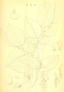 n188_w1150