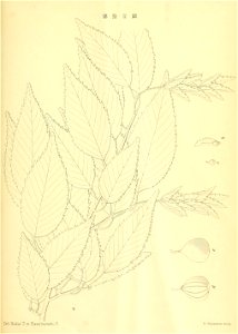 n192_w1150