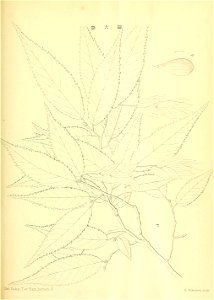 n172_w1150