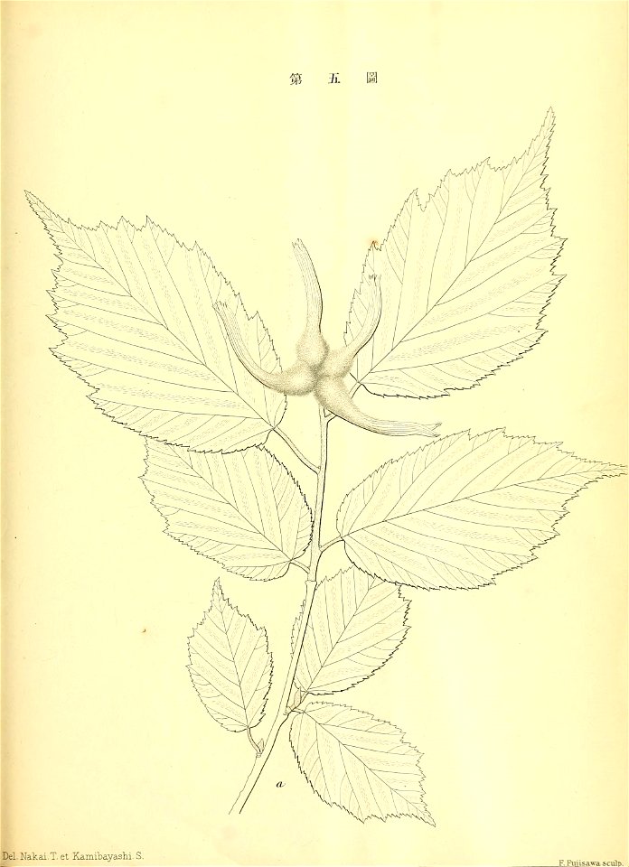 n168_w1150