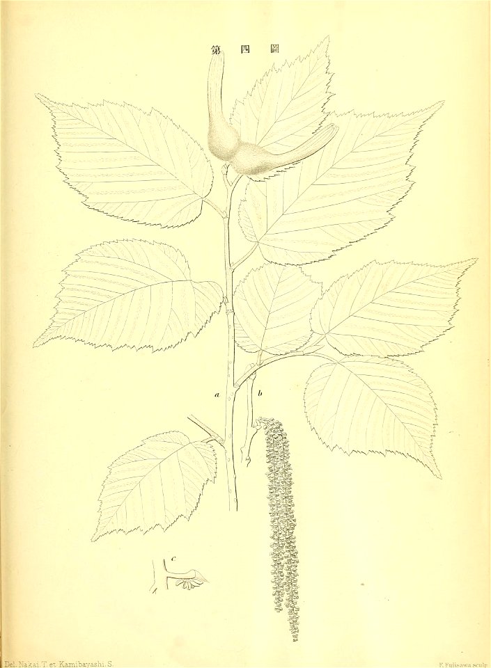 n164_w1150