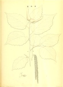 n164_w1150