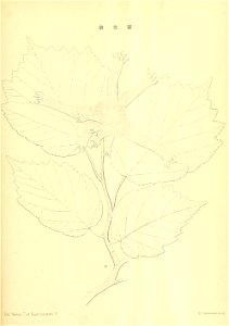 n160_w1150