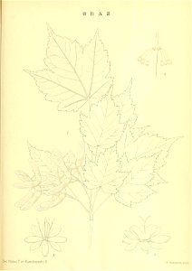 n96_w1150