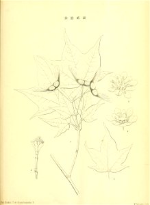 n84_w1150