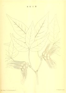 n80_w1150