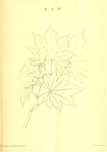 n56_w1150