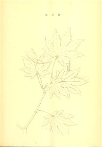 n60_w1150