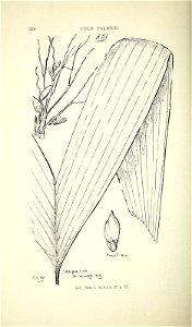n609_w1150