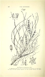 n607_w1150