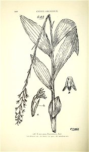 n577_w1150