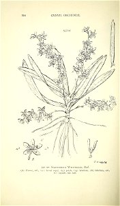 n571_w1150