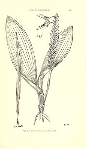 n570_w1150