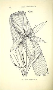 n583_w1150