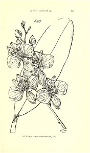 n568_w1150