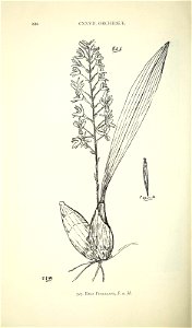n565_w1150