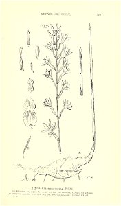 n566_w1150