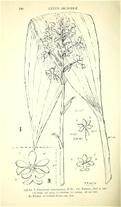 n567_w1150