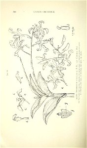 n559_w1150