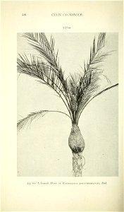 n551_w1150