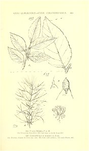n544_w1150