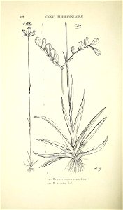 n557_w1150