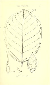 n536_w1150