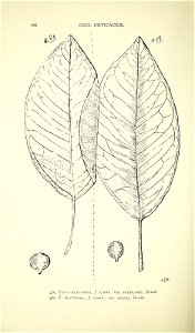 n527_w1150
