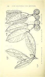 n519_w1150