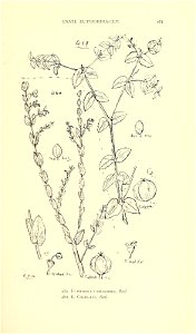 n506_w1150