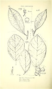 n523_w1150