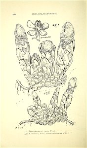 n503_w1150