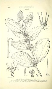 n499_w1150