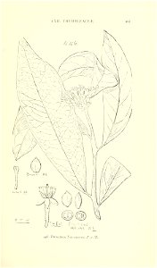 n496_w1150