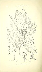 n497_w1150