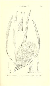 n490_w1150