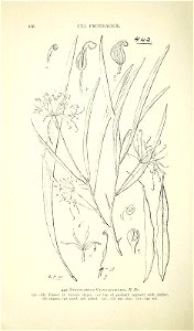 n489_w1150