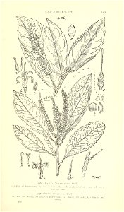 n482_w1150
