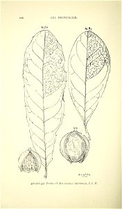 n477_w1150
