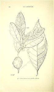 n467_w1150