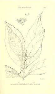 n460_w1150