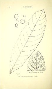 n463_w1150