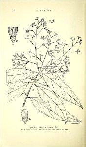 n465_w1150