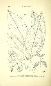 n459_w1150