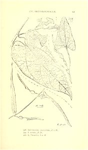 n452_w1150