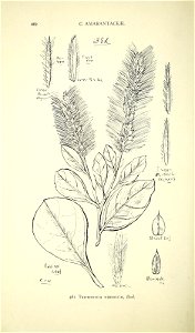 n431_w1150